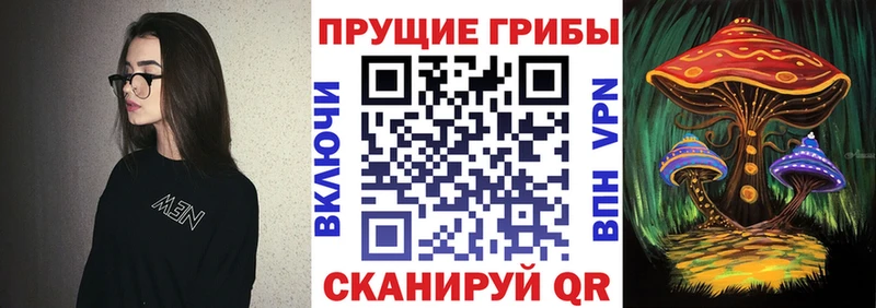 Купить закладки  Калтан  Галлюциногенные грибы прущие грибы 